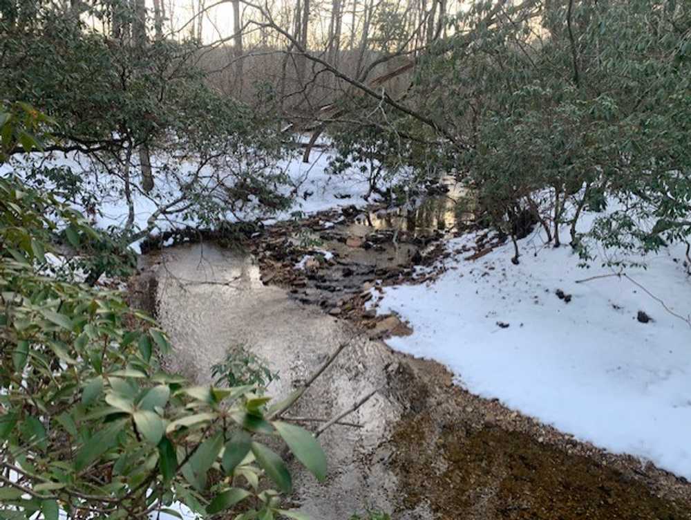 Park Image 6