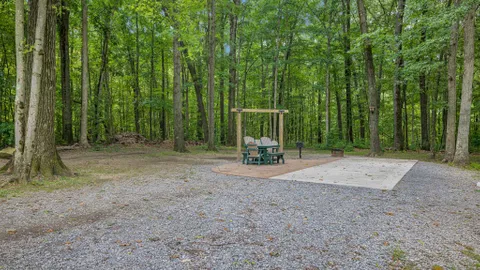 Red Carpet RV Site — image 5 of 5