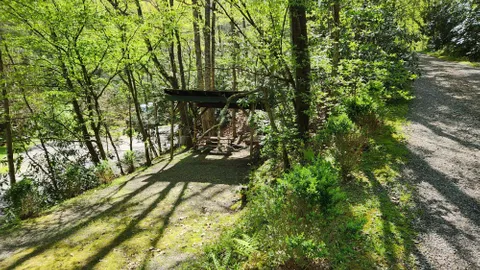 Wooded Sheltered Tent Site W/E — image 1 of 3