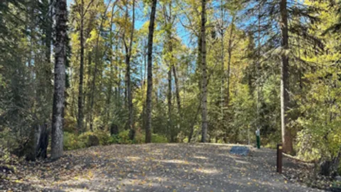 South Camp Brewery Creek Back In — image 1 of 19