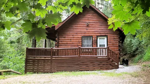 Modern Log Cabin (7Ridges) — image 1 of 12
