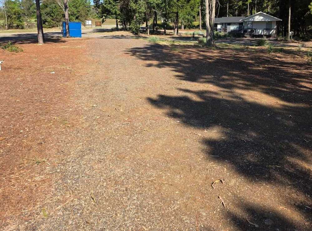 The Pines, Tyler, Texas - Photo 4