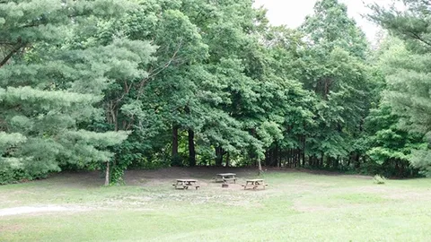 G19 - RUSTIC TENT GROUP SITE (max 10 ppl) — image 1 of 1