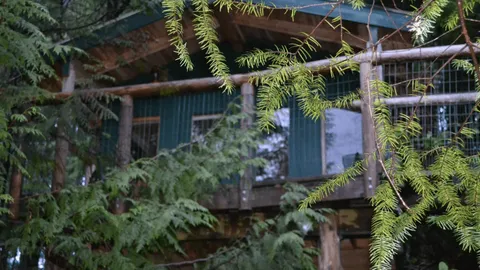 Tree House Cabin 1 — image 5 of 5