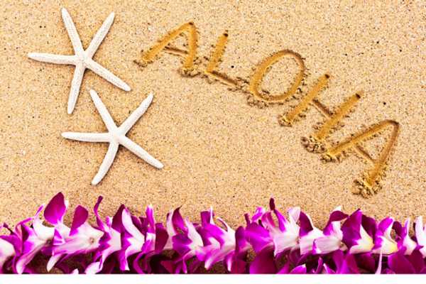 Hula and Happiness: A Week of Aloha Spirit