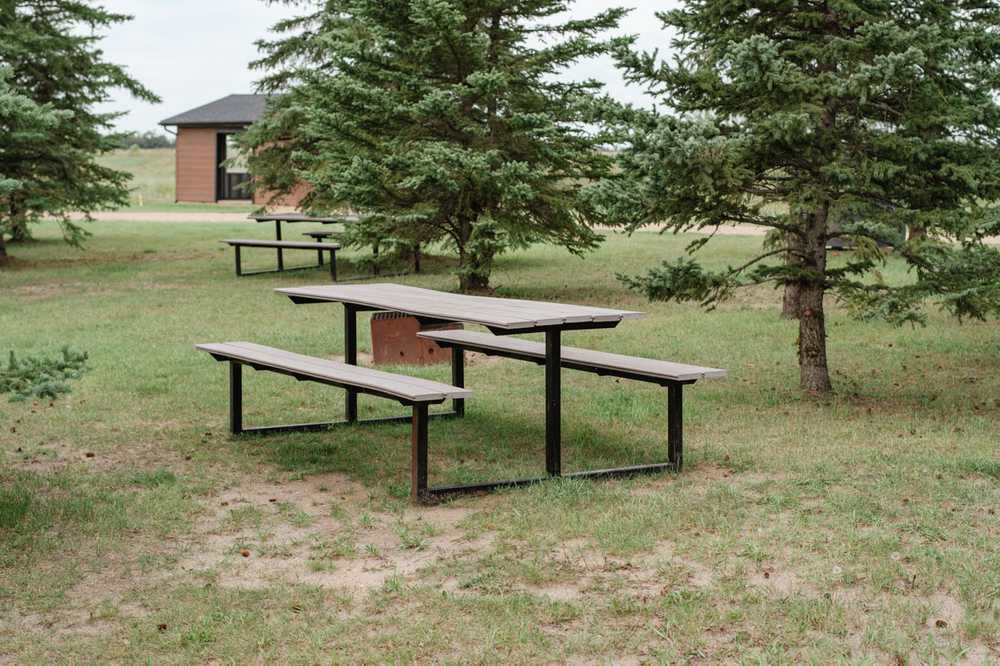 Diplomat Trout Pond Campground - Forestburg, Alberta - Photo 4