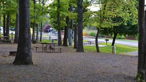 Standard Back-In RV Site — image 2 of 2