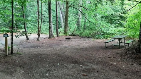 Pond side Water Tent Site — image 5 of 5