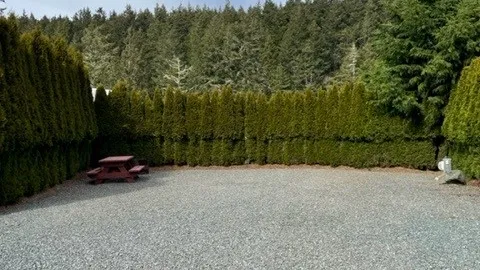 Standard — image 2 of 2