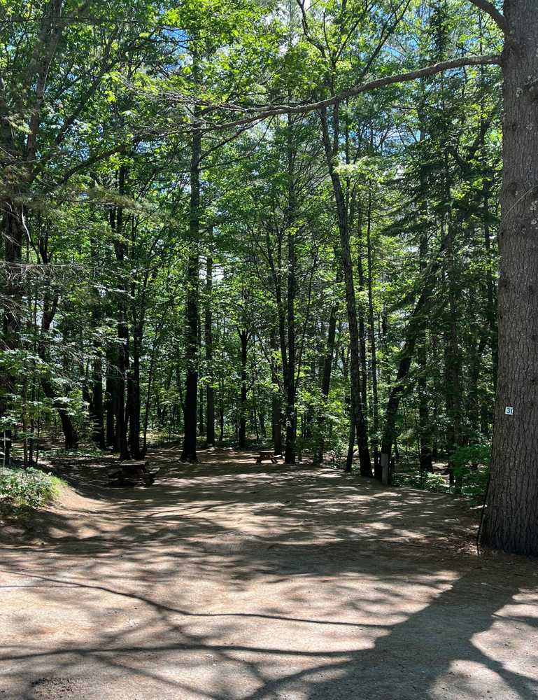 Poland Spring Campground - Photo 4