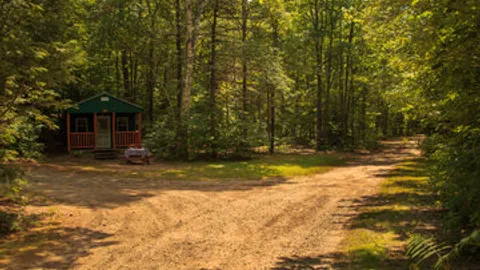 Rustic Cabin 91 Pet Friendly — image 2 of 5