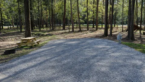 Standard Back-In RV Site — image 1 of 1