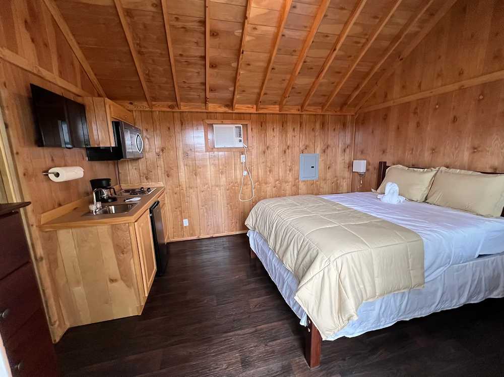 River Oaks West RV Park - Photo 5
