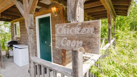 Chicken Coop — image 7 of 7