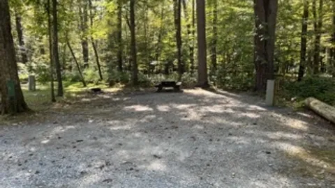 20/30/50 AMP Forest RV Site — image 13 of 13