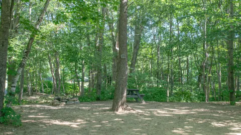 Wilderness Tent Site — image 5 of 5
