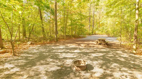 Tent Site with Electric — image 1 of 4