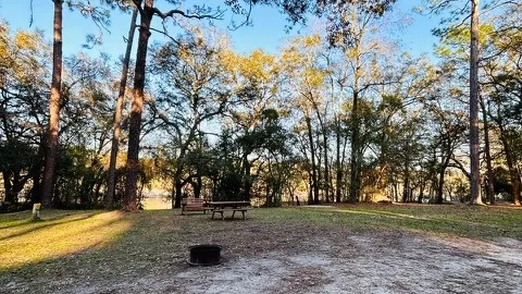 Water + Electric RV Site — image 2 of 4