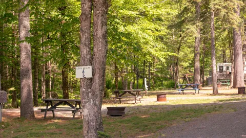 20 Amp River Road — image 5 of 5