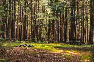 Willowemoc Campground – photo 5