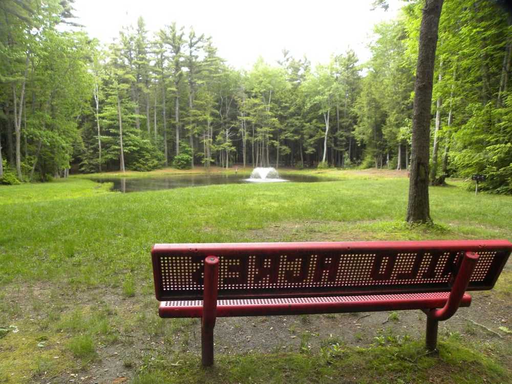 Park Image 11