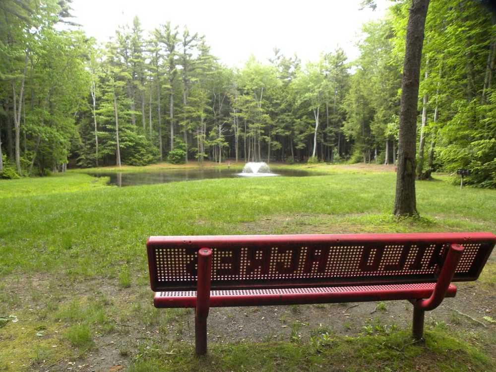 Park Image 13