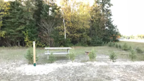 Primitive Small Vehicle/Tent Site — image 1 of 4