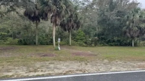 Water + Electric RV Site — image 1 of 1