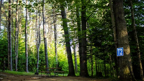 Tent Site — image 14 of 14