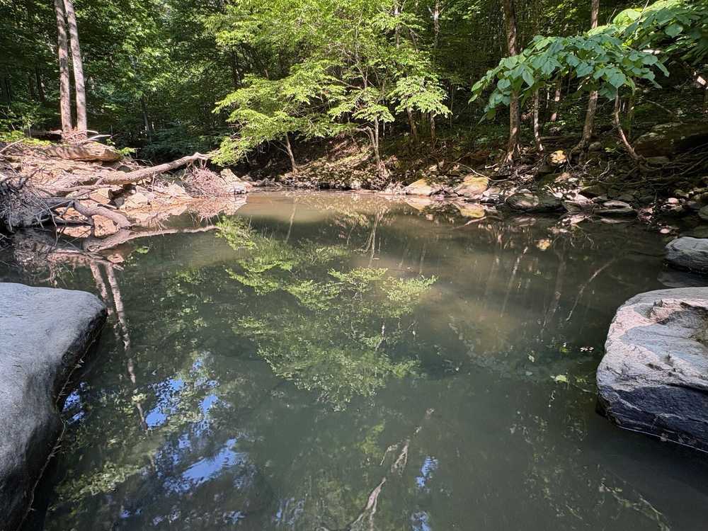 Park Image 16