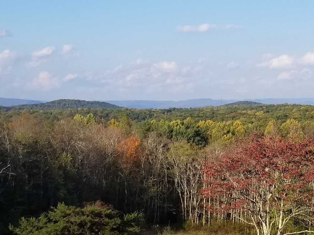 Park Image 14