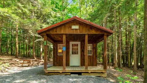 Bear Bones Cabin — image 1 of 5