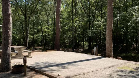 50 AMP Savannah River Interior Campsite — image 2 of 16