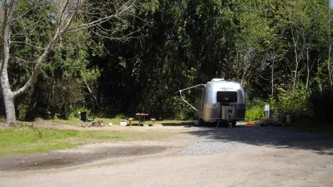 Premium RV Site (30-Amp electric) — image 8 of 8