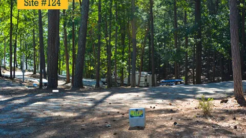 Back-in - Gravel — image 2 of 7