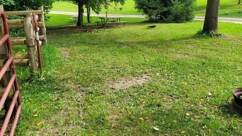 SBL Site 313 - Unserviced (TEC) — image 2 of 2