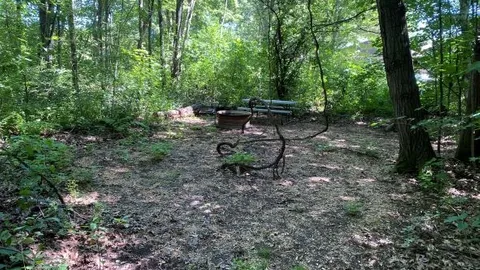 Group Tent - Wooded — image 1 of 5