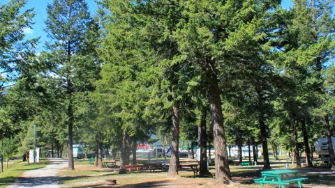 Deluxe RV Site — image 1 of 1