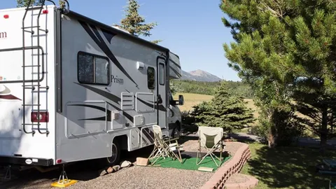 50 Amp Pull-In RV Site - MotorHome Only — image 1 of 1