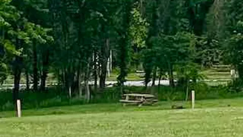 Grassy Tent Site — image 1 of 3