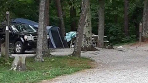 Primitive Tent Site — image 1 of 2