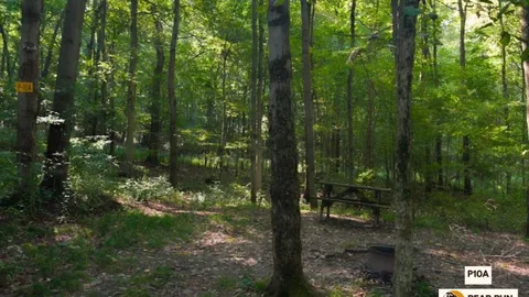 Primitive Walk In Tent Site — image 2 of 22
