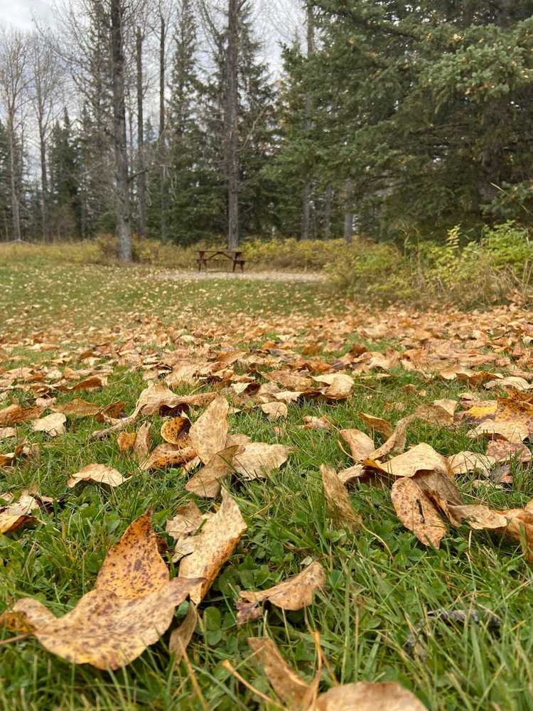 Riverview Campground - Photo 4