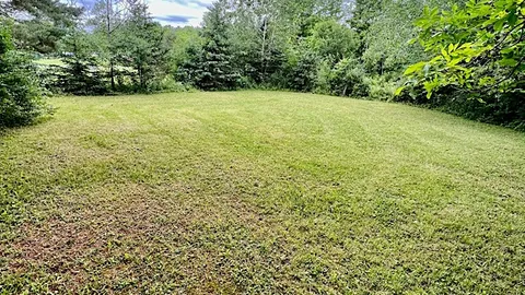 Tent/Boondocking site — image 1 of 1