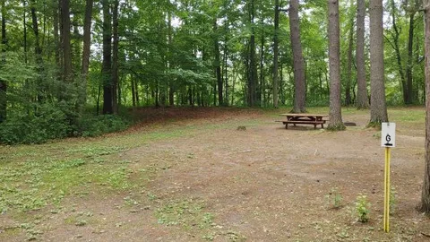 Rustic Pop-up/Tent Site — image 4 of 4