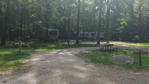 Electric Campsite — image 1 of 28
