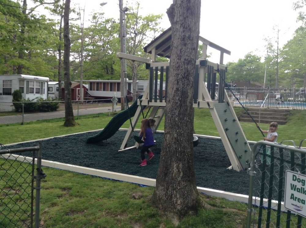 Shady Pines - Photo 5