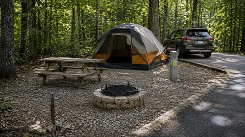 Area A Tenting Deluxe Drive-up Site — image 1 of 2