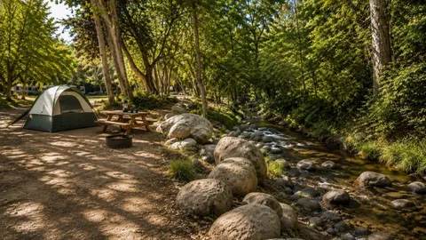 Tent Site (Creekside) — image 1 of 1