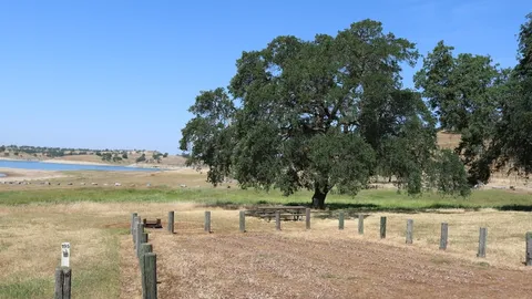 Rabbit Creek Premium 8-Person Camp Site — image 1 of 1